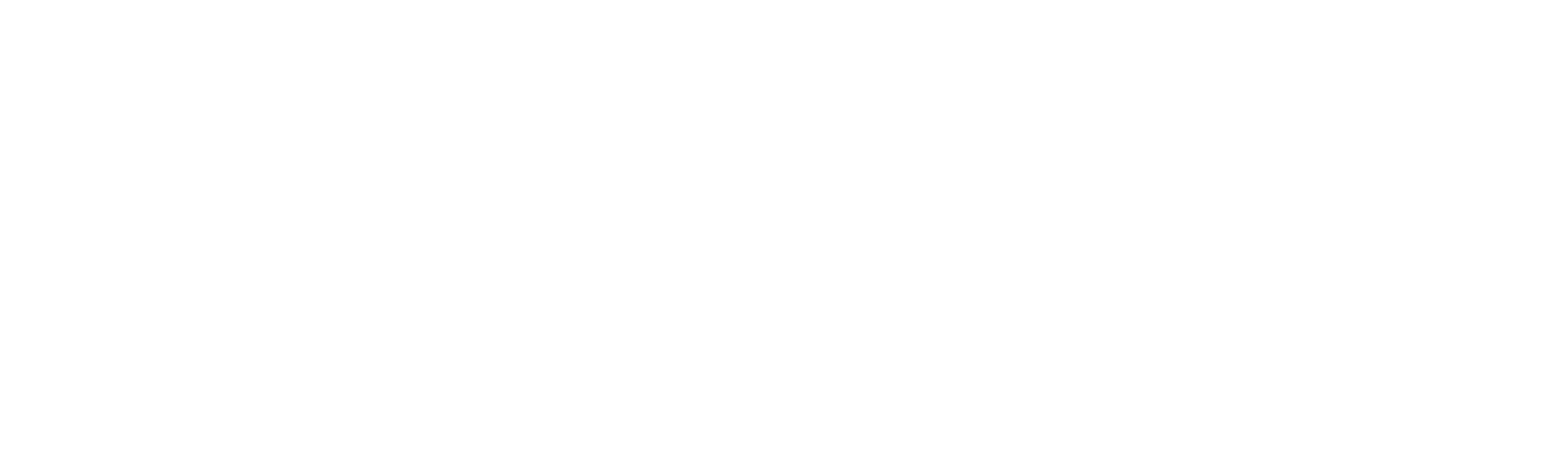 Different Brains Logo