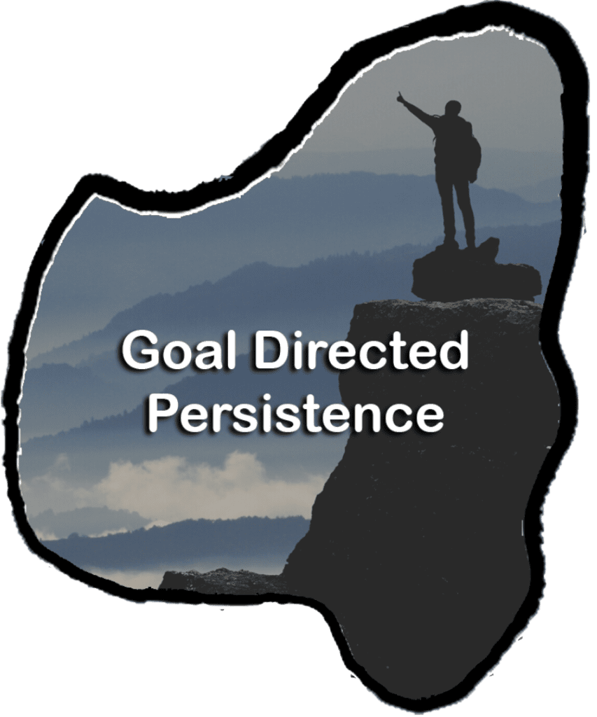 Goal Directed Persistence