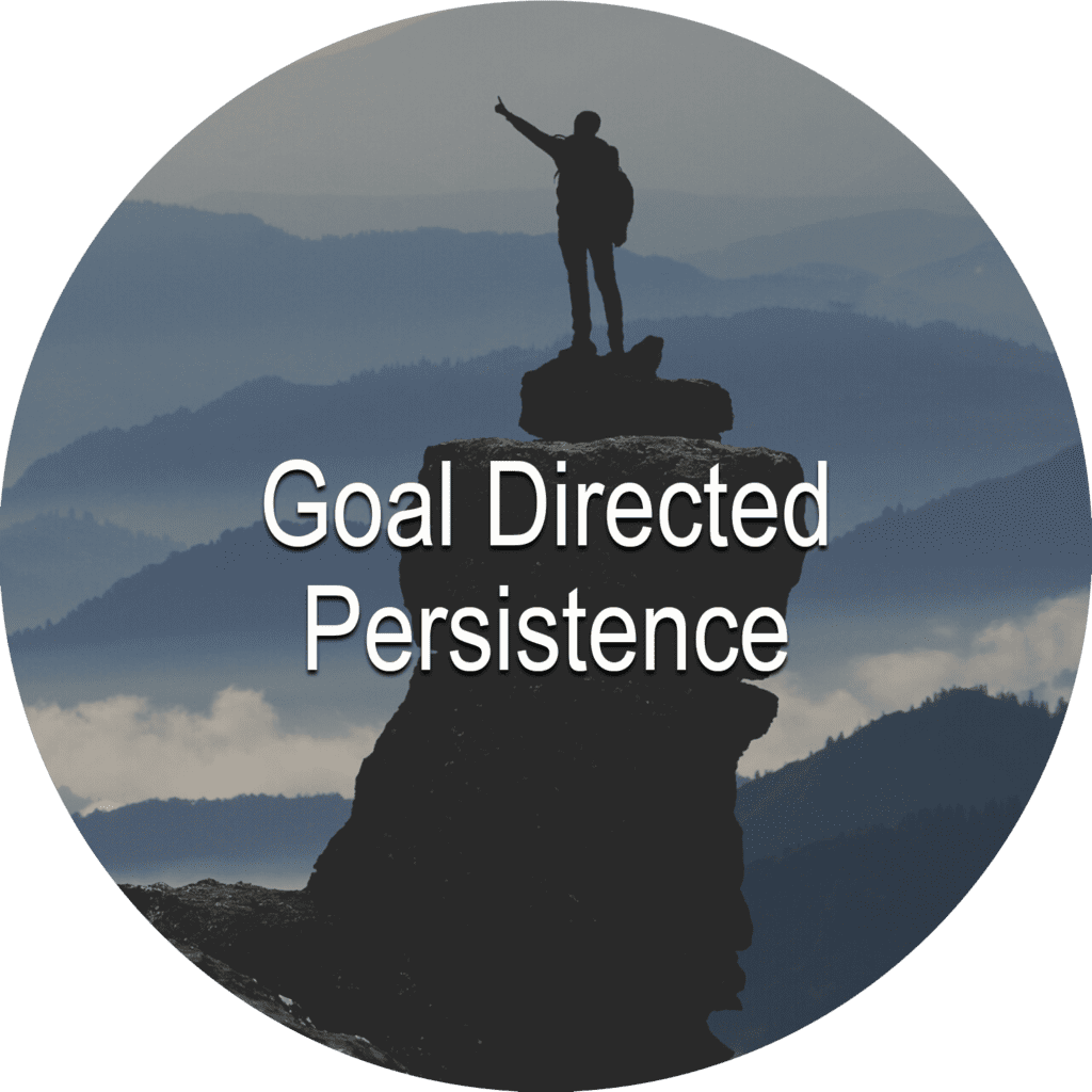 goal directed persistence