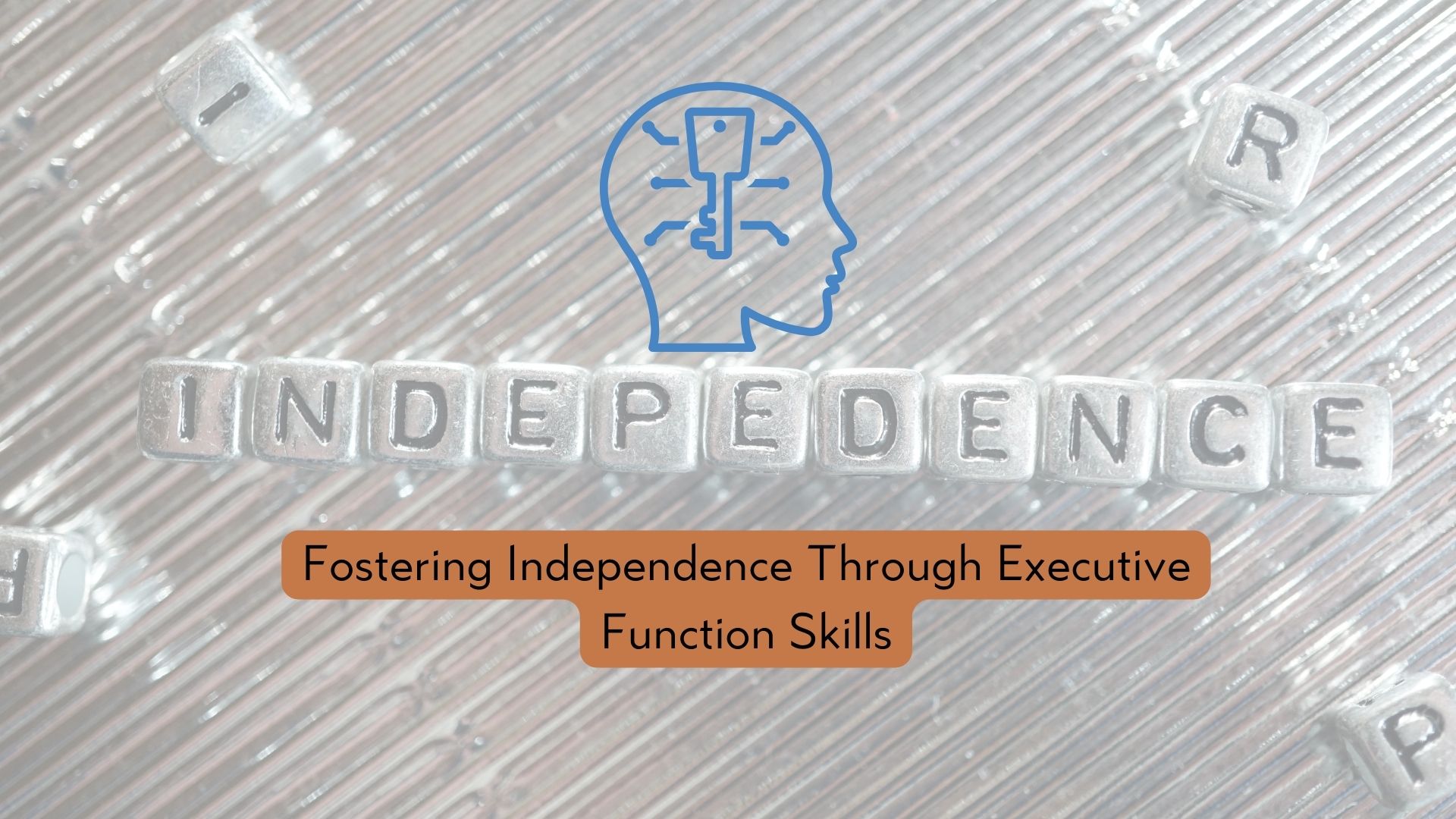 independence and executive function skills